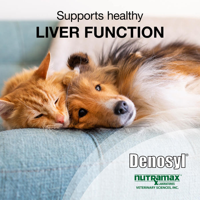 Nutramax Denosyl Liver and Brain Health Supplement - Jeffers - Animal Health & Wellness > Vitamins & Supplements