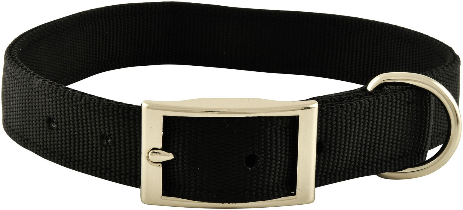 1' Nylon Dog Collar, 22'L - Jeffers - Dog Supplies > Dog Apparel > Dog Collars, Harnesses, & Leashes