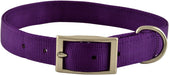 1' Nylon Dog Collar, 24'L - Jeffers - Dog Supplies > Dog Apparel > Dog Collars, Harnesses, & Leashes