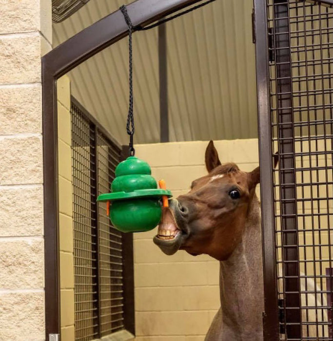 12' KONG Equine Hanging Set w/ Treat Ring, Green - Jeffers - Horse Supplies > Horse Treats