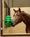 12' KONG Equine Hanging Set w/ Treat Ring, Green - Jeffers - Horse Supplies > Horse Treats