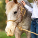 Poly Braided Rope Horse Halter with Lead - Jeffers - Horse Supplies > Horse Tack > Horse Halters