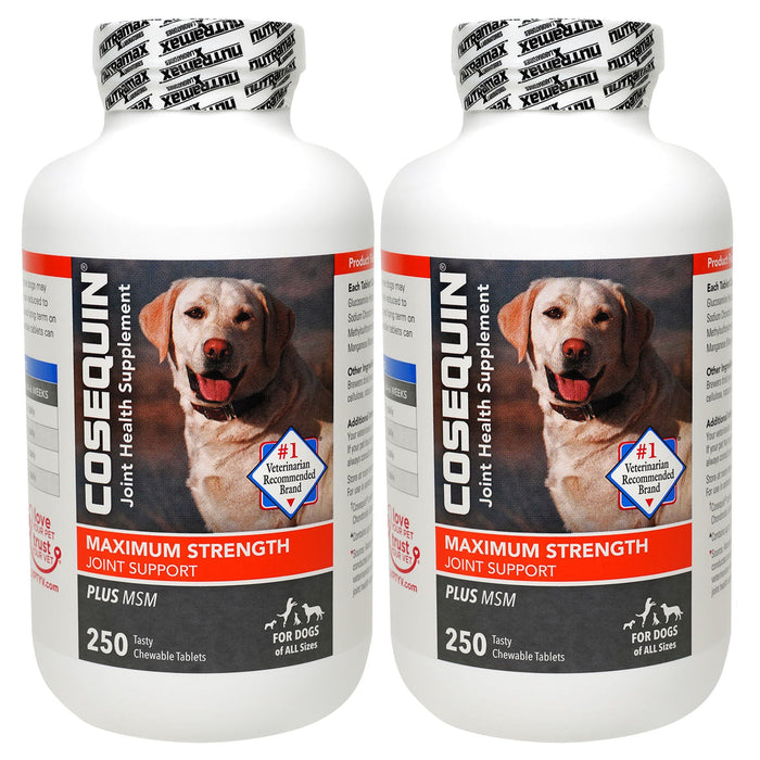 Cosequin Maximum Strength Joint Support with MSM Chewable Tablet, 250 ct, 2pk - BrownBeef