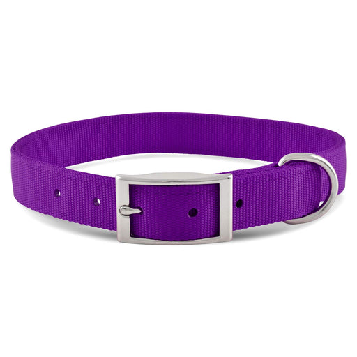 1'W Jeffers Dog Collars, 20'L - Jeffers - Dog Supplies > Dog Apparel > Dog Collars, Harnesses, & Leashes