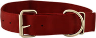 2' Big Dog Collars, 23.5' - 28' by Jeffers - Jeffers - Dog Supplies > Dog Apparel > Dog Collars, Harnesses, & Leashes