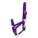 3/4' Adjustable Nylon Miniature Halter - Jeffers - Horse Supplies > Horse Tack > Horse Halters