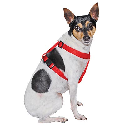 3/8' x 8 - 14' Adjustable Dog Harness by Jeffers - Jeffers - Dog Supplies > Dog Apparel > Dog Collars, Harnesses, & Leashes