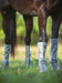 4 - pk Rambo Tech - Fit Fly Boots, Silver - Jeffers - Horse Supplies > Horse Boots & Leg Wraps