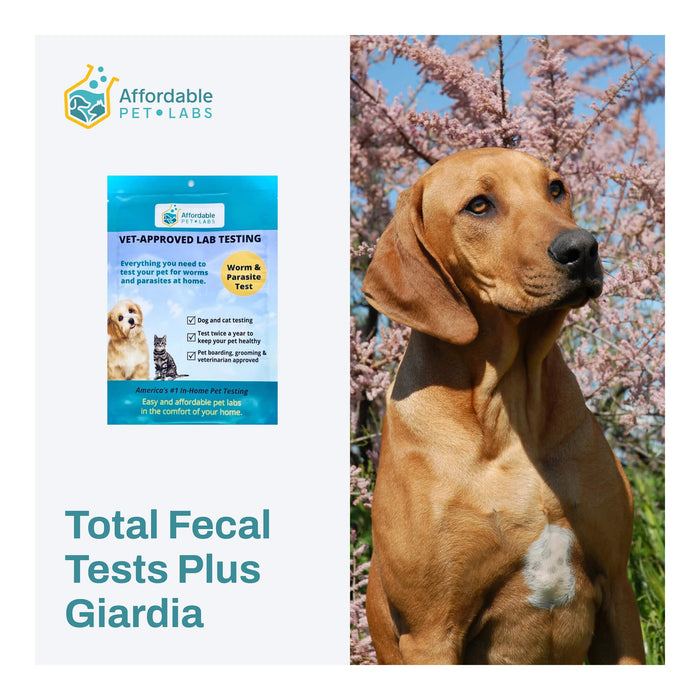 Affordable Pet Labs - Total Fecal Tests Plus Giardia For Dogs & Cats, Easy Home Kit