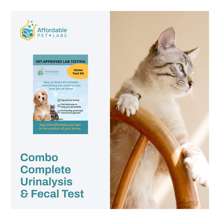 Affordable Pet Labs - Combo Complete Urinalysis & Fecal Test For Cats, Easy Home Kit