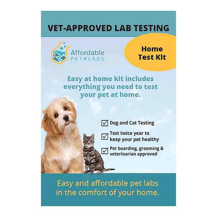 Affordable Pet Labs Complete Urinalysis with Microscopic Evaluation For Dogs Easy Home Kit  