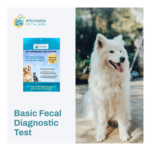 Affordable Pet Labs Basic Fecal Diagnostic Test For Dogs and Cats Easy Home Kit  