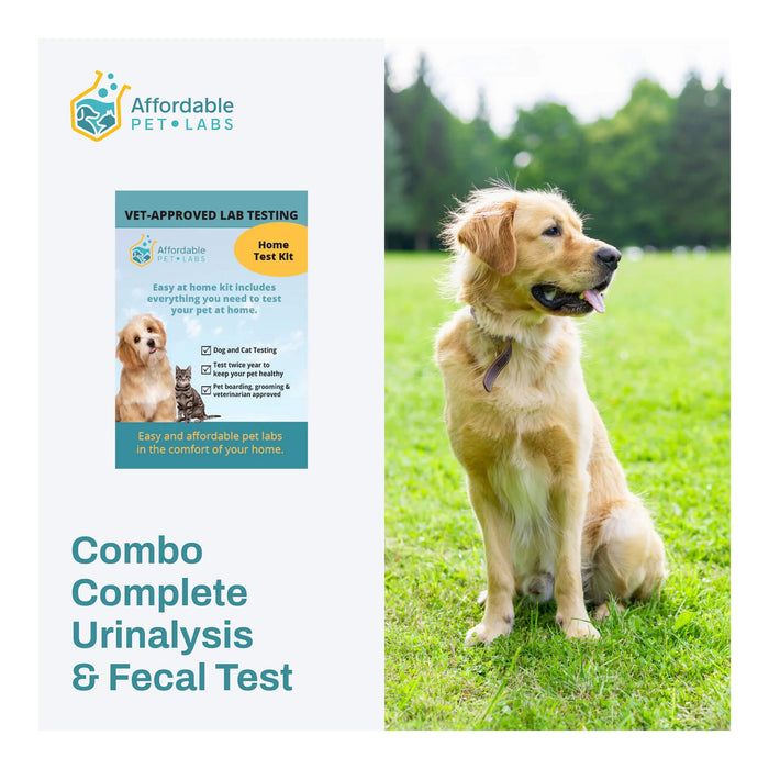 Affordable Pet Labs - Combo Complete Urinalysis & Fecal Test For Dogs, Easy Home Kit