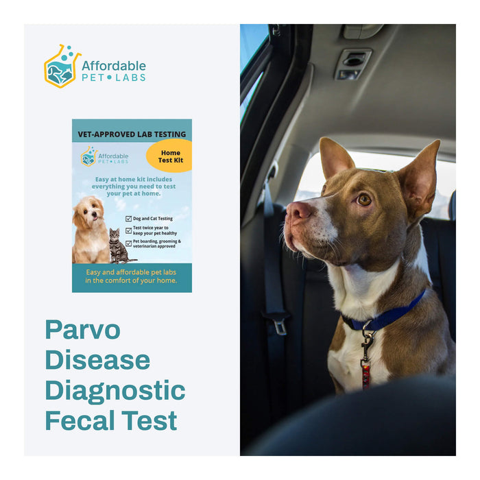 Affordable Pet Labs - Parvo Disease Diagnostic Fecal Test For Dogs, Easy Home Kit