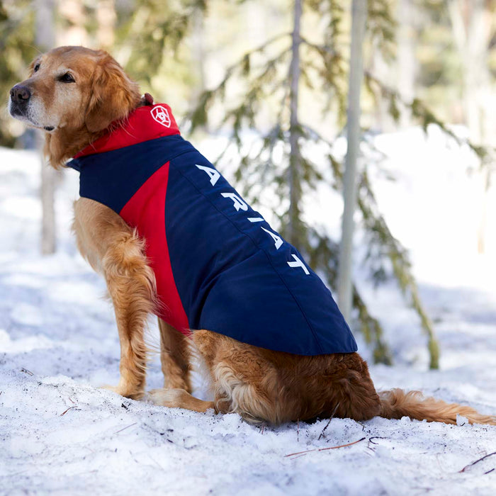 Team Softshell Dog Jacket, Navy/Red Size: Large Size Large