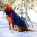 Team Softshell Dog Jacket, Navy/Red Size: Large Size Large