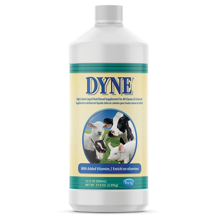 Dyne High Calorie Liquid for Livestock