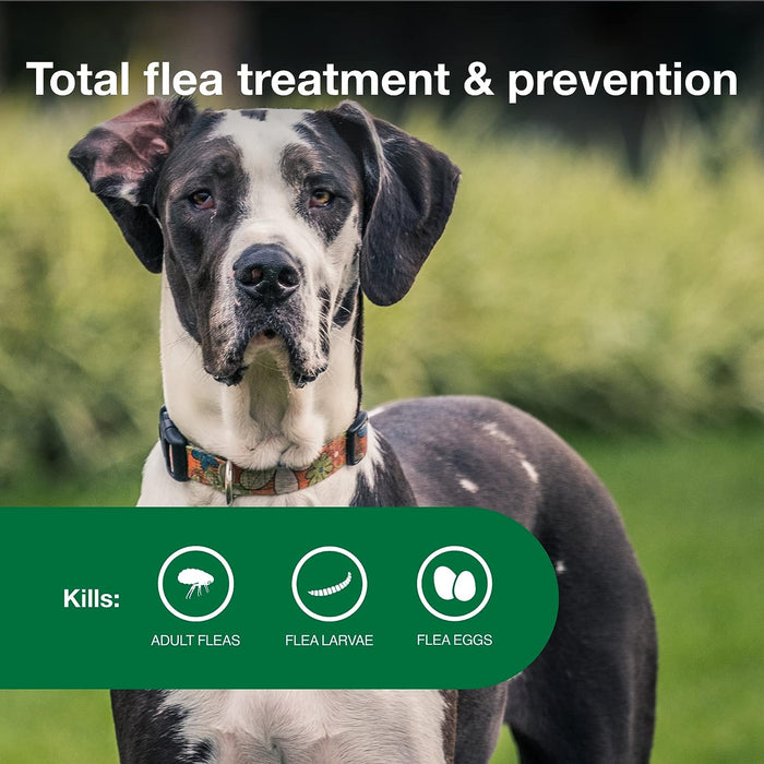 Advantage II for Dogs - Jeffers - Animal Health & Wellness > Flea & Tick Control