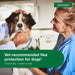 Advantage II for Dogs - Jeffers - Animal Health & Wellness > Flea & Tick Control