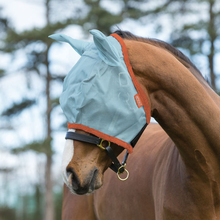 Amigo Horse Fly Mask with Ears, Aqua/Orange