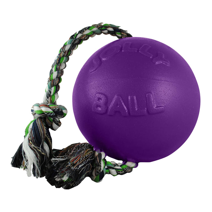 Romp-n-Roll Ball