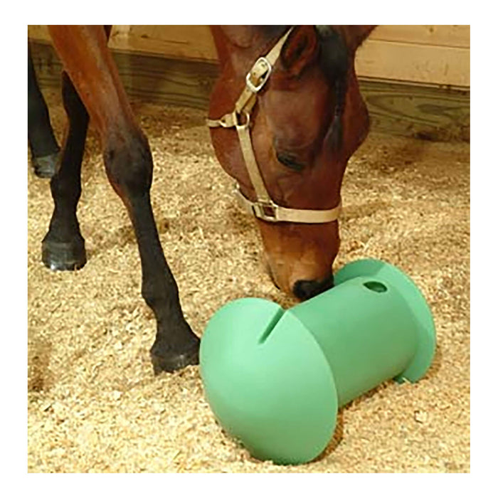 Amazing Graze Equine Treat Dispenser Color Teal