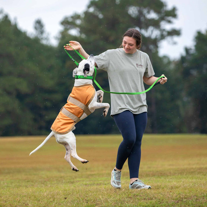 Jeffers Waterproof Breathe-Comfort Ripstop Dog Blanket