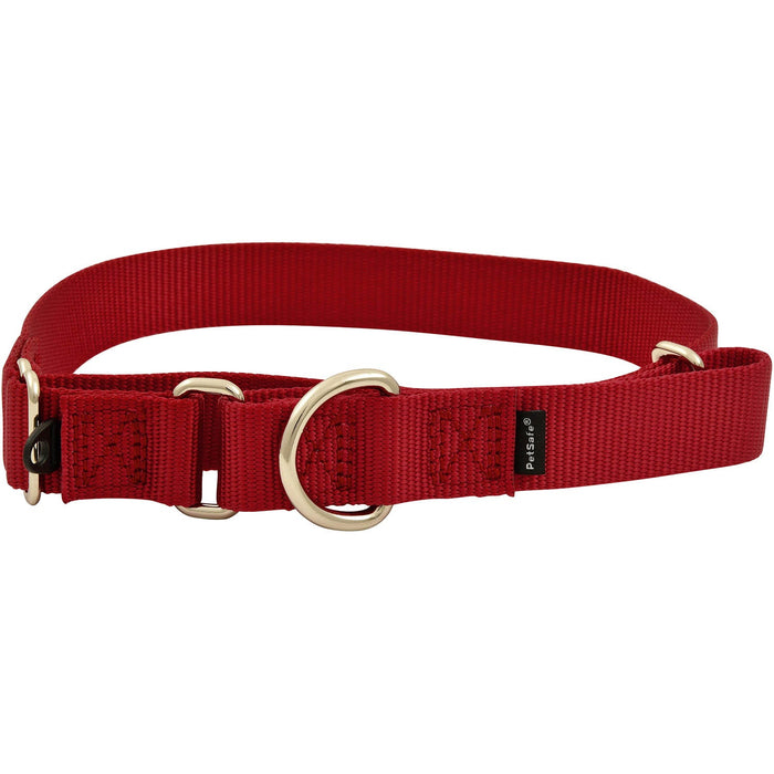 The Premier Dog Collar, 3/4" x 8" - 12"