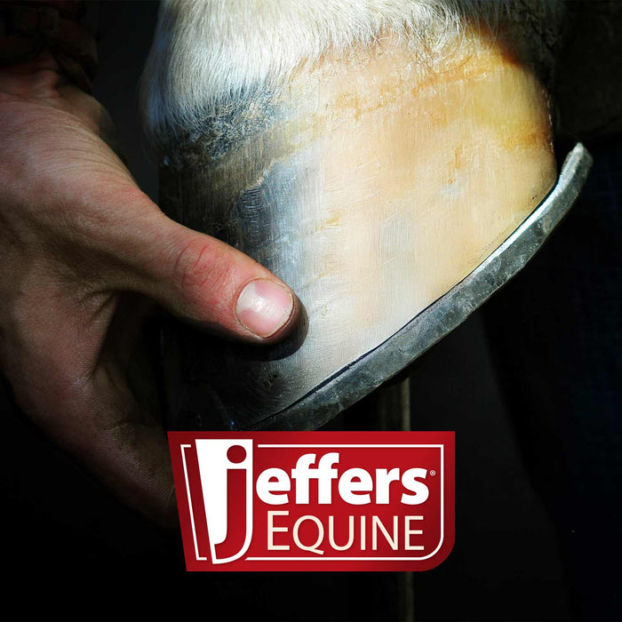 Jeffers Thrush Away Thrush Treatment for Horses, 2 oz