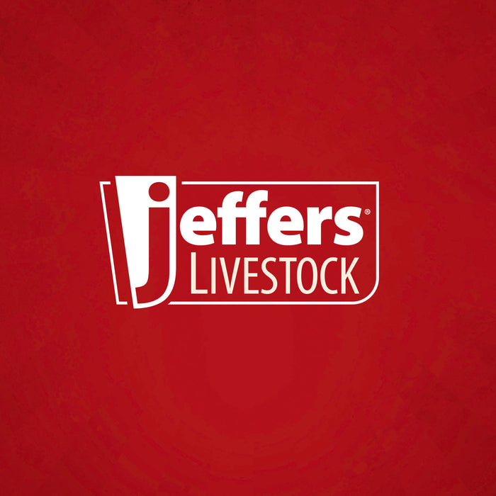 Jeffers Nylon Cow Halter