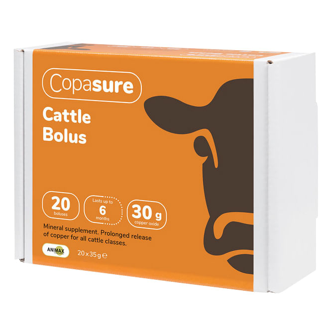 Copasure Bolus for Cattle  - Copasure Cattle Bolus 20 ct, 30 gm  