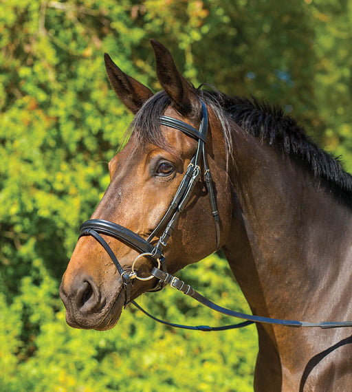 Avignon Aspen Dressage Bridle Color Black