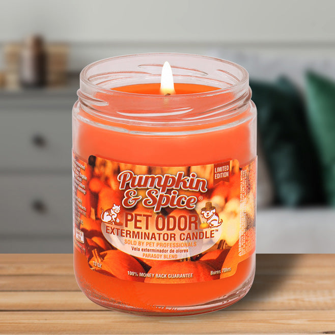 Pet Odor Exterminator Candle, Pumpkin & Spice, 13 oz