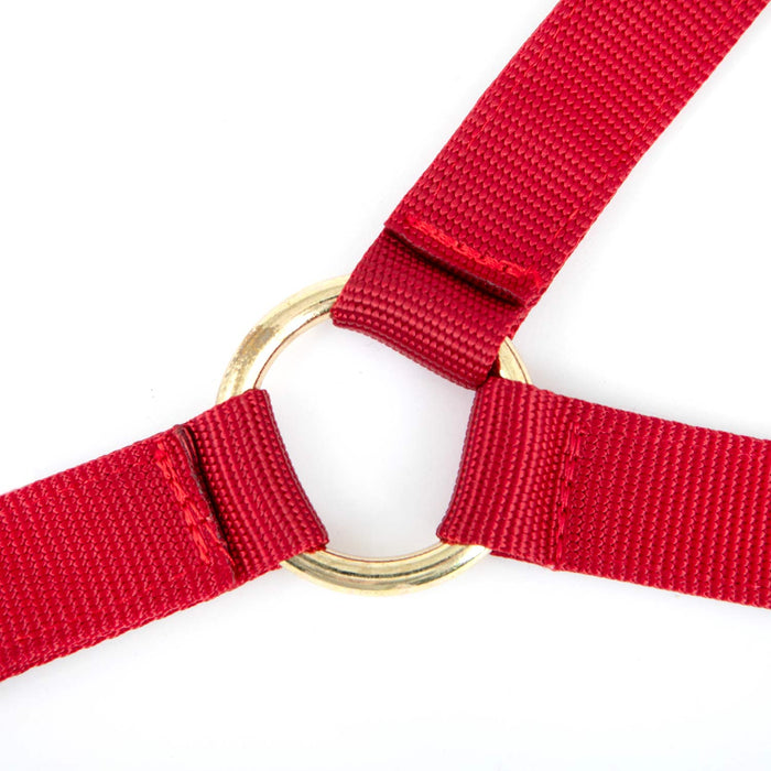 Jeffers Nylon Cow Halter