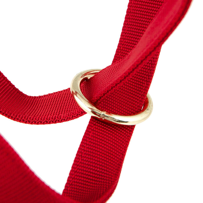 Jeffers Nylon Cow Halter