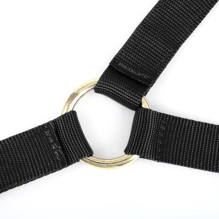 Jeffers Nylon Cow Halter
