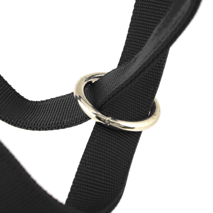 Jeffers Nylon Cow Halter