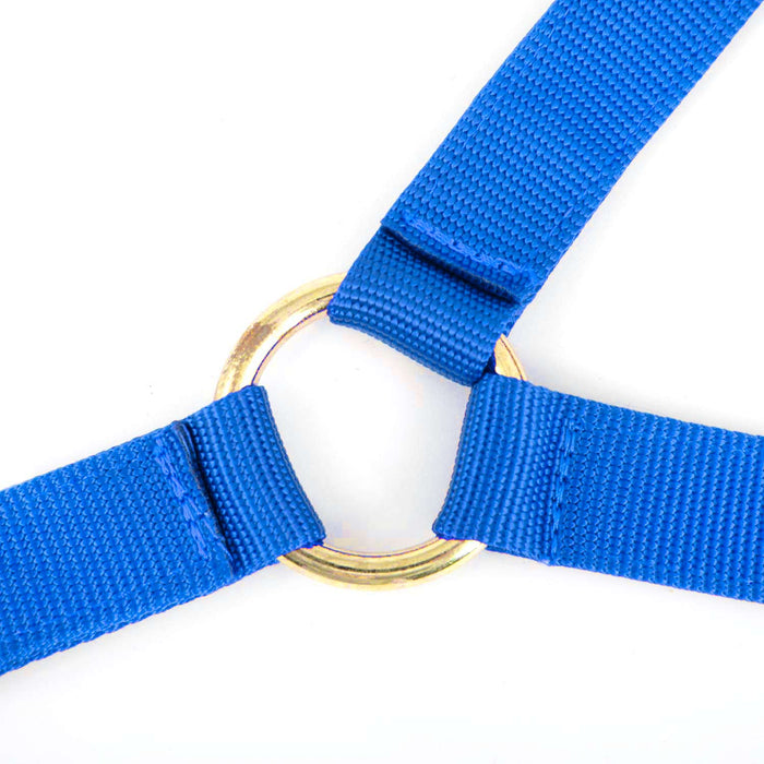 Jeffers Nylon Cow Halter