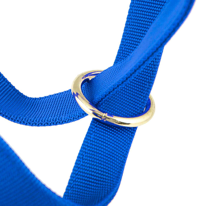 Jeffers Nylon Cow Halter