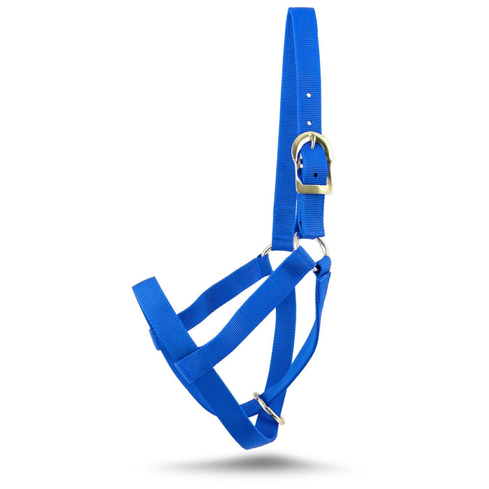 Jeffers Nylon Cow Halter