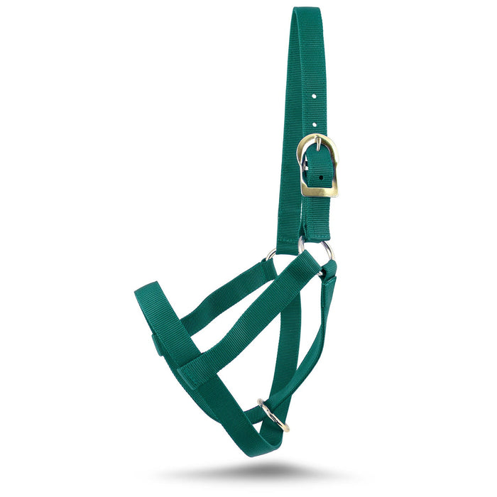 Jeffers Nylon Cow Halter