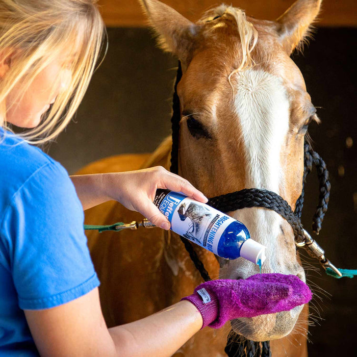 Jeffers Brightening Blue Whitening Shampoo for Horses