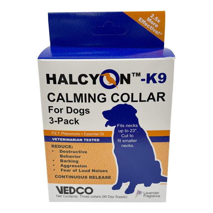 Halcyon K9 Collar Color Blue/Orange