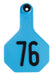 Y-Tex Numbered Cattle Ear Tag ID, Medium - Blue 151-175 