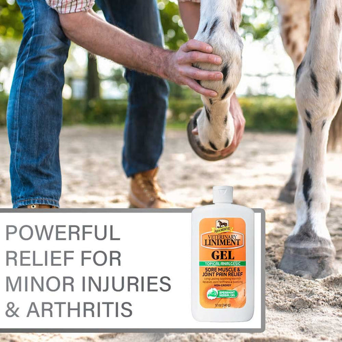 Absorbine Veterinary Liniment Gel - Jeffers - Horse Supplies > Horse Supplies