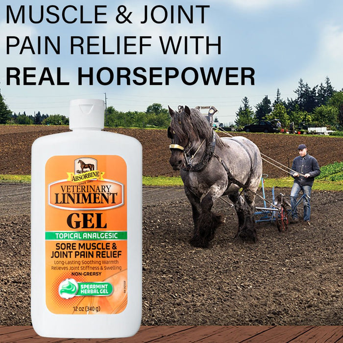 Absorbine Veterinary Liniment Gel - Jeffers - Horse Supplies > Horse Supplies