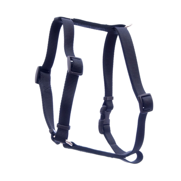 Adjustable Nylon Harness, 1' W x 22' - 38' - Jeffers - Dog Supplies > Dog Apparel > Dog Collars, Harnesses, & Leashes