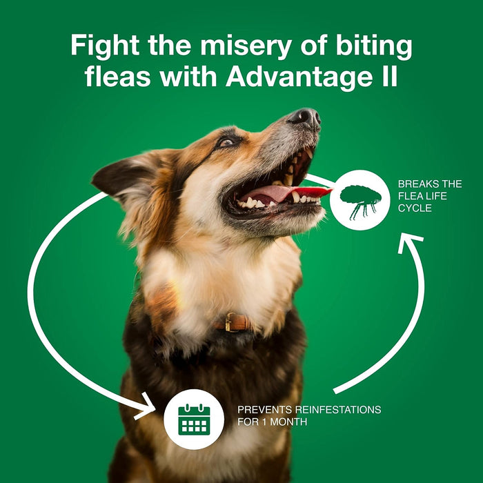 Advantage II for Dogs - Jeffers - Animal Health & Wellness > Flea & Tick Control