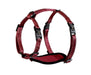 alcott Adventure Harness - Jeffers - Dog Supplies > Dog Apparel > Dog Collars, Harnesses, & Leashes