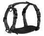 alcott Adventure Harness - Jeffers - Dog Supplies > Dog Apparel > Dog Collars, Harnesses, & Leashes